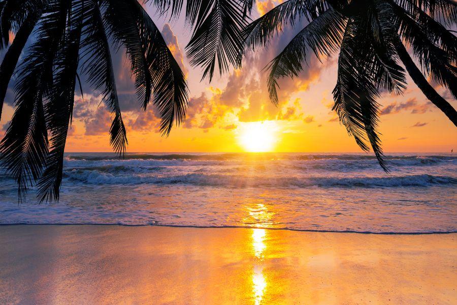 SmartEnPlus Blog: How to Travel from Krabi (Ao Nang) to Koh Samui: Complete Transportation Guide