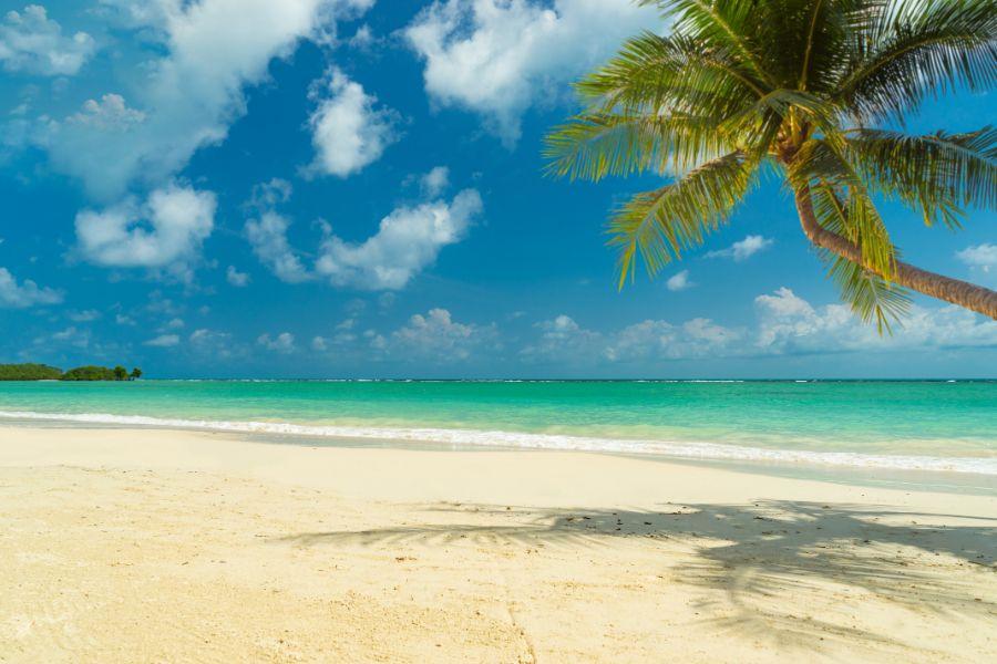 Transfer from Surat Thani Train Station to Koh Samui – Your Easy Travel Guide