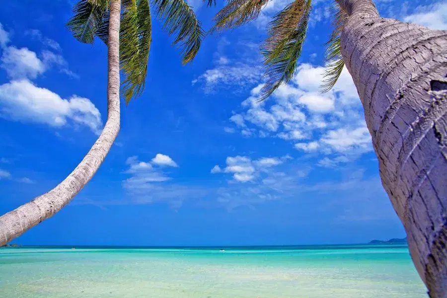 Best Ferry Routes from Ao Nang to Koh Samui: Schedules, Prices, and Tips