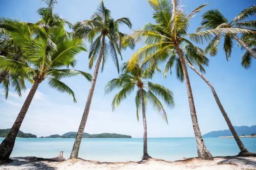 SmartEnPlus Blog: Best Way to Travel from Koh Lanta to Phuket with Kids or Seniors