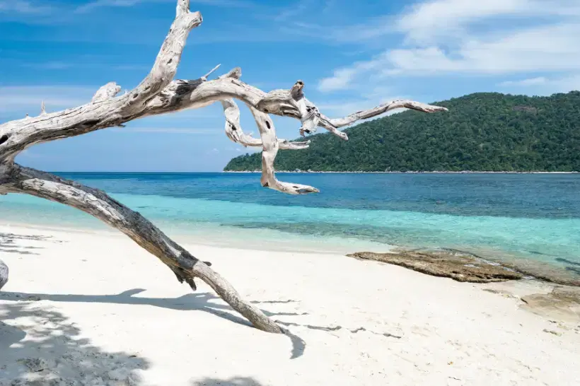 Affordable Transportation from Ao Nang to Koh Lipe: Budget-Friendly Options and Deals