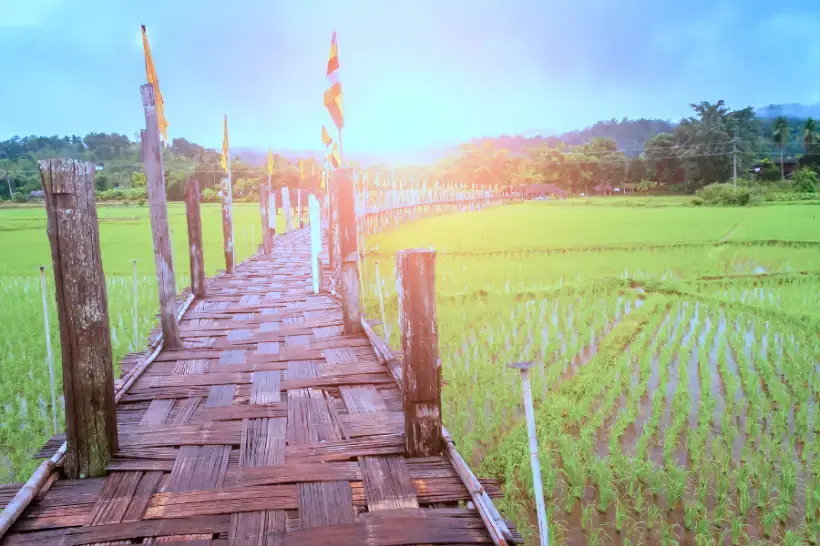 SmartEnPlus Blog: How to get from Chiang Mai to Pai