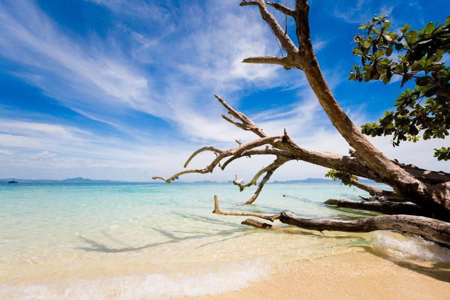 SmartEnPlus Blog: Best Ferry Routes from Koh Lipe to Trang: Schedules, Prices, and Booking Tips