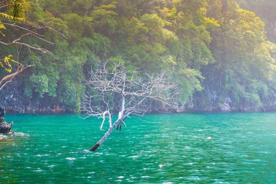 What to Expect When Arriving in Surat Thani from Krabi: Transport, Accommodation, and Sightseeing