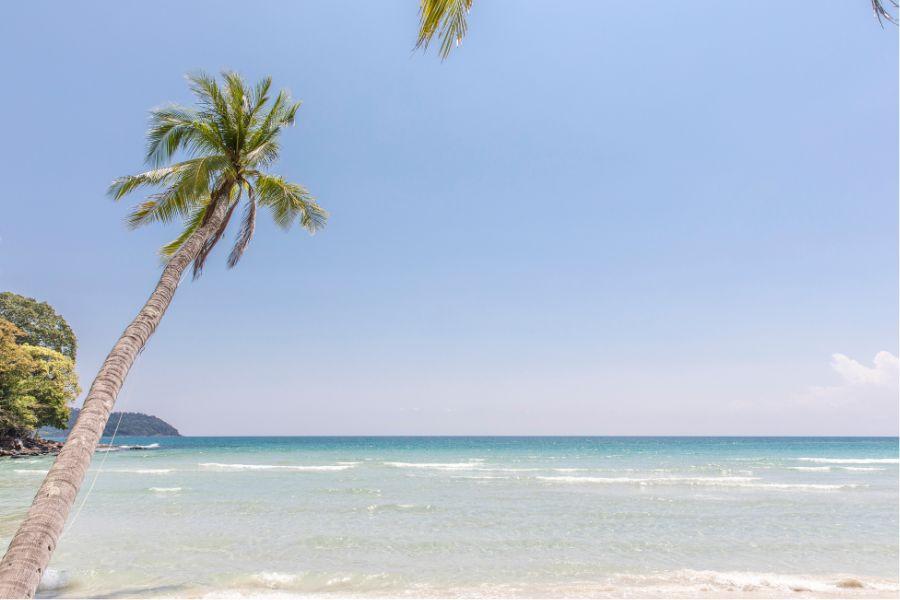 SmartEnPlus Blog: Getting to Koh Kood: A Travel Guide Based on Recent Information