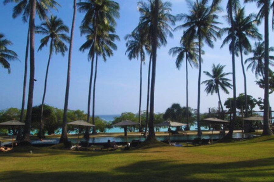 Best Transportation Options from Bangkok to Koh Tao for Budget Travelers