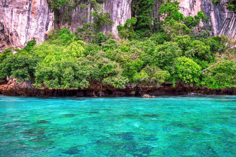 SmartEnPlus Blog: Best Ferry Services from Phuket to Phi Phi: Reviewed by Locals & Tourists
