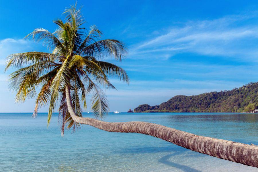 Island Hopping with Boonsiri Ferry — Koh Chang, Koh Mak & Koh Kood