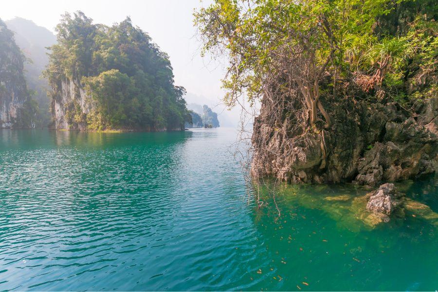 Travel Tips for Surat Thani to Krabi via Rail and Bus: Combining Train and Road Trips