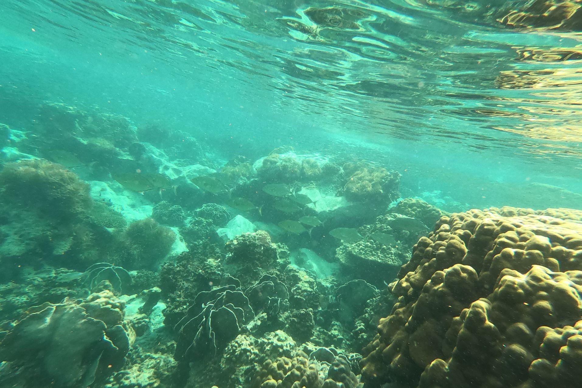 Koh Chang Itinerary for 7 Days